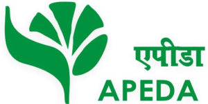 apeda-logo